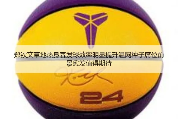 zheng-qin-wen-cao-di-re-shen-sai-fa-qiu-xiao-lv-ming-xian-ti-sheng-wen-wang-zhong-zi-xi-wei-qian-jing-yu-fa-zhi-de-qi-2-481.jpg