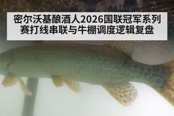 密尔沃基酿酒人2026国联冠军系列赛打线串联与牛棚调度逻辑复盘